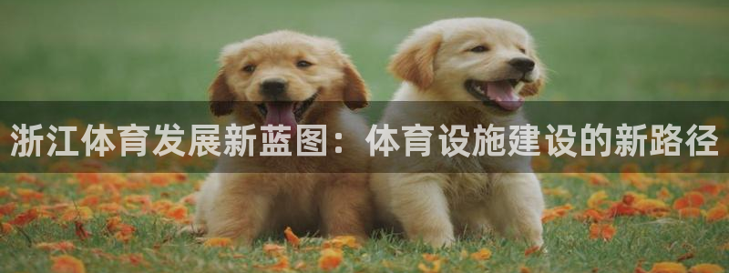 凯捷平台体育：浙江体育发展新蓝图：体育设施建设的新路径
