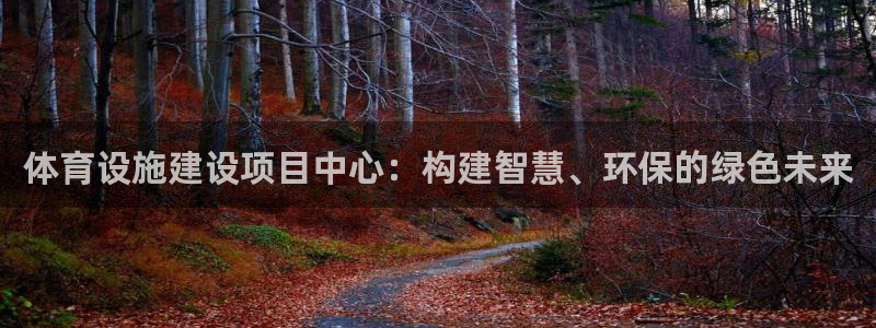 凯捷体育平台注册流程图：体育设施建设项目中心：构建智慧、环保