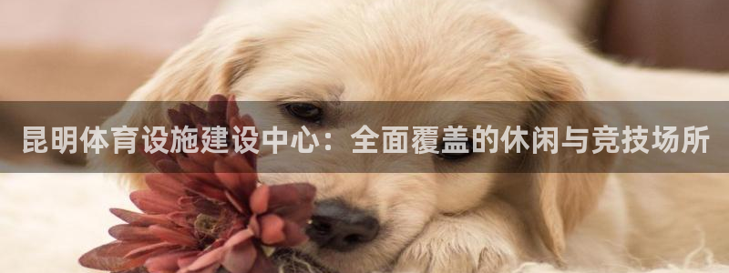 凯捷体育娱乐平台：昆明体育设施建设中心：全面覆盖的休闲与竞技