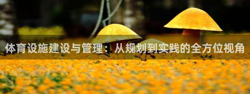 凯捷体育招商电话地址是多少：体育设施建设与管理：从规划到实践 