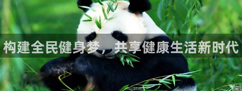 凯捷体育联系电话：构建全民健身梦，共享健康生活新时代