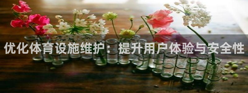 凯捷体育集团简介：优化体育设施维护：提升用户体验与安