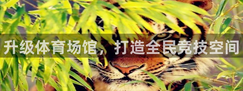 凯捷体育娱乐40996：升级体育场馆，打造全民竞技空