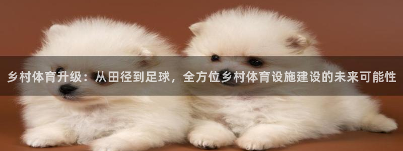 海南凯捷体育发展怎么样：乡村体育升级：从田径到足球，