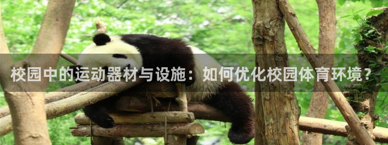 凯捷体育娱乐代理怎么样：校园中的运动器材与设施：如何