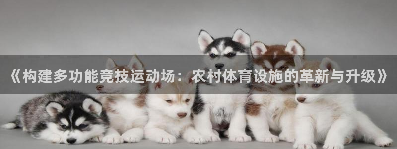 凯捷体育五金厂：《构建多功能竞技运动场：农村体育设施
