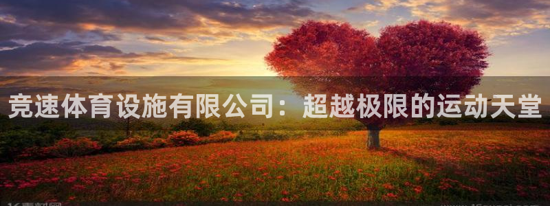 凯捷体育科技：竞速体育设施有限公司：超越极限的运动天