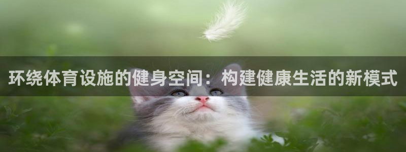 凯捷体育娱乐网站