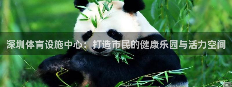 凯捷体育集团E.ON：深圳体育设施中心：打造市民的健