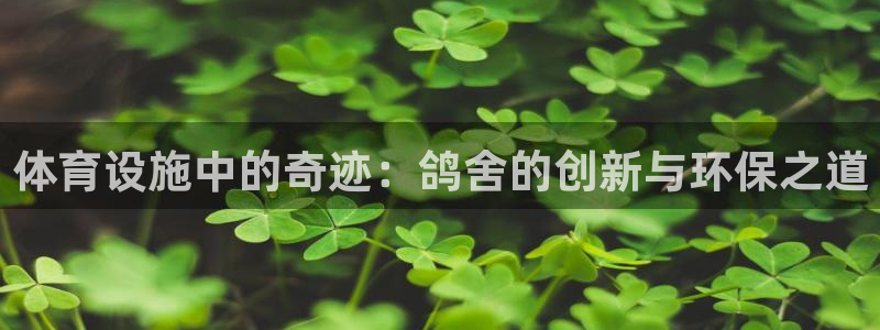 凯捷体育官网