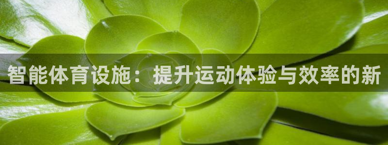 凯捷体育招商电话地址