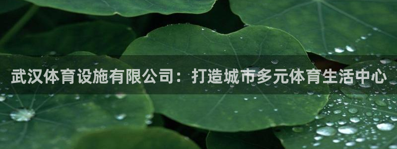 凯捷体育招商电话号码：武汉体育设施有限公司：打造城市多元体育