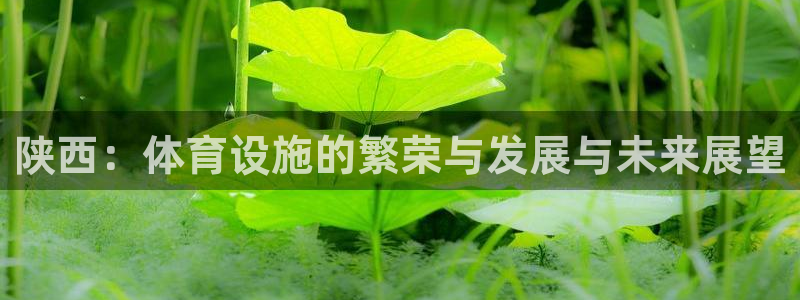 海南凯捷体育发展怎么样：陕西：体育设施的繁荣与发展与未来展望
