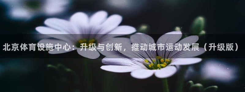 凯捷体育招商电话号码是多少：北京体育设施中心：升级与创新，推 