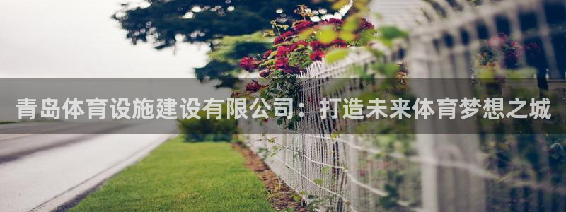 凯捷体育娱乐：青岛体育设施建设有限公司：打造未来体育梦想之城