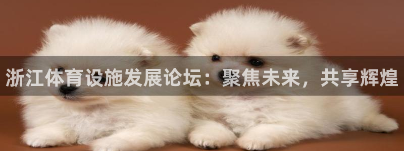 凯捷体育娱乐40996