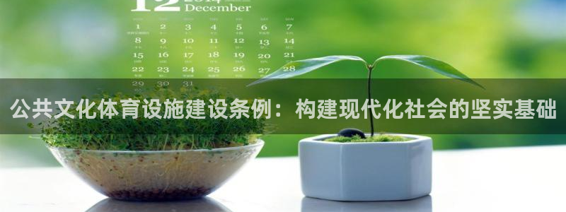 德国凯捷体育集团:公共文化体育设施建设条例:构建现代化社会的