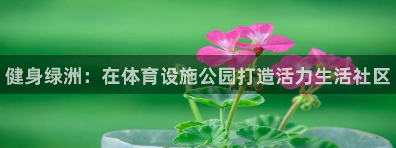 海南凯捷体育：健身绿洲：在体育设施公园打造活力生活社区 