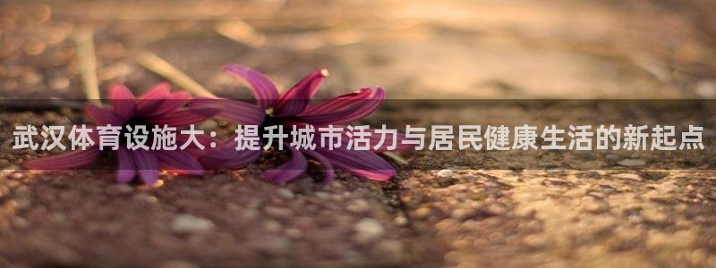 凯捷体育招商电话号码：武汉体育设施大：提升城市活力与居民健康