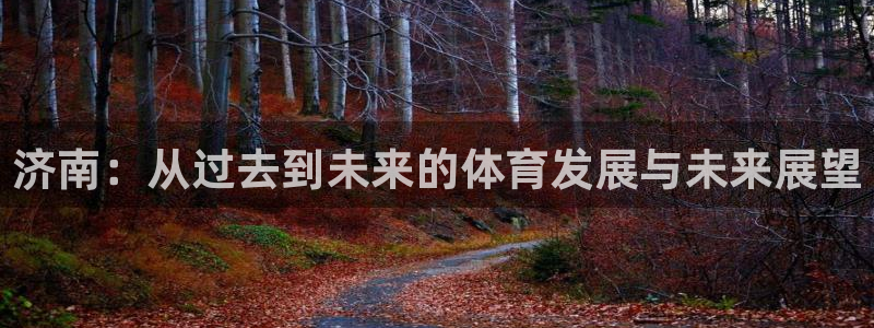凯捷体育平台是正规平台吗：济南：从过去到未来的体育发展与未来 