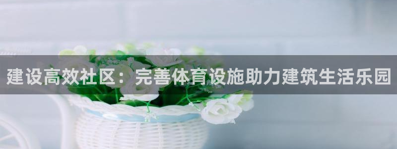 凯捷体育集团：建设高效社区：完善体育设施助力建筑生活乐园