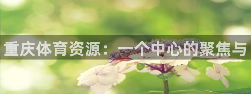 凯捷体育平台：重庆体育资源：一个中心的聚焦与