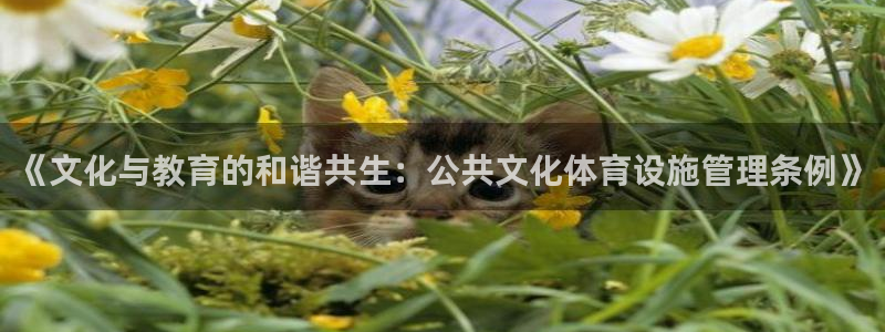 凯捷体育集团官网网址：《文化与教育的和谐共生：公共文