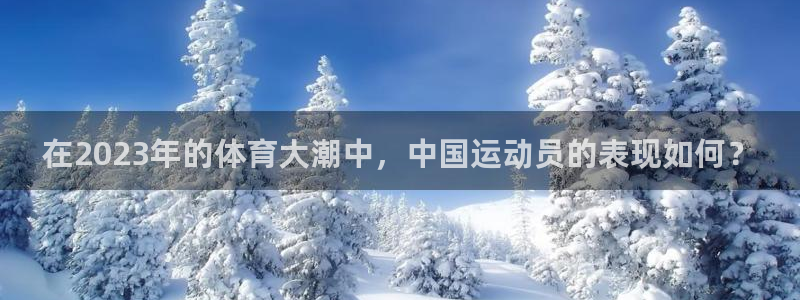 凯捷体育平台注册：在2023年的体育大潮中，中国运动员的表现