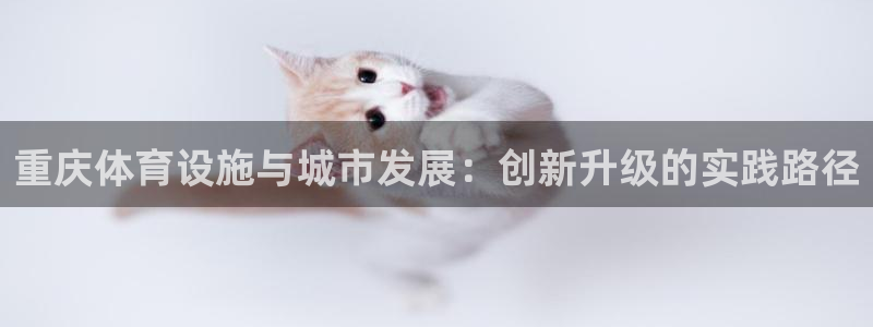 凯捷体育平台注册流程图：重庆体育设施与城市发展：创新升级的实