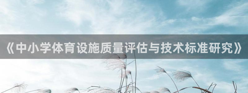 凯捷体育集团：《中小学体育设施质量评估与技术标准研究》 