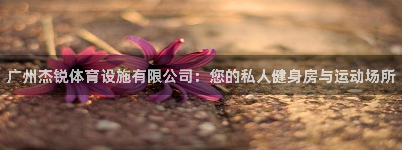 凯捷集团官网：广州杰锐体育设施有限公司：您的私人健身房与运动