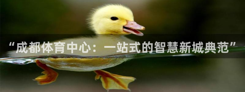 凯捷体育代理：“成都体育中心：一站式的智慧新城典范” 