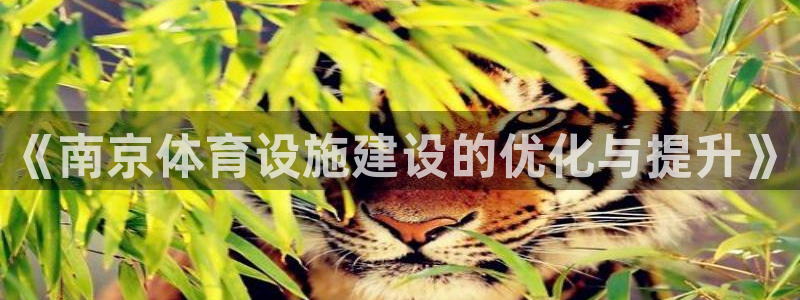 凯捷体育娱乐代理怎么样：《南京体育设施建设的优化与提升》