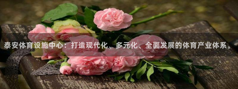 凯捷体育招商电话号码查询：泰安体育设施中心：打造现代化、多元