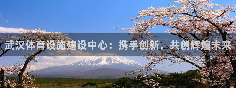 凯捷体育注册：武汉体育设施建设中心：携手创新，共创辉煌未来 